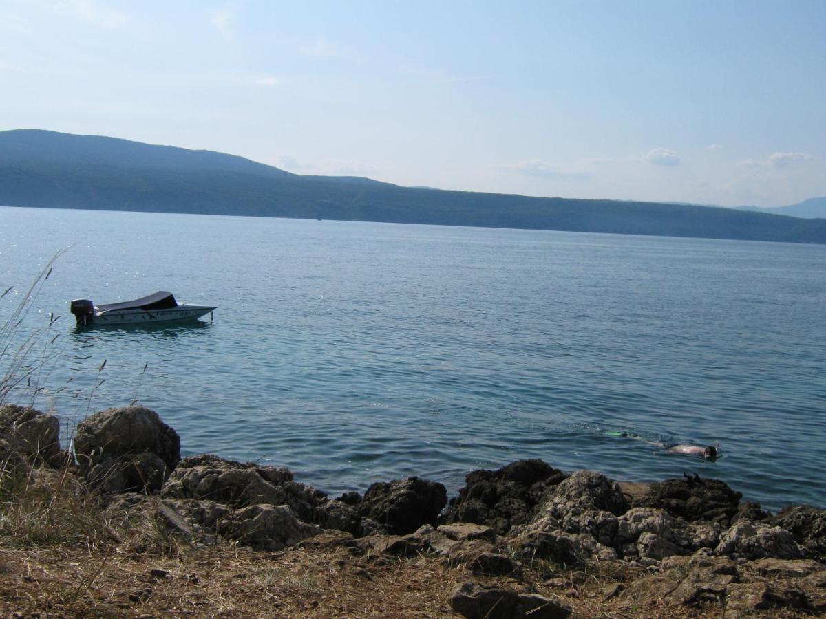 Apartman Jasna *